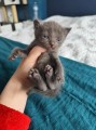 https://www.waibe.fr/sites/delphine59h/medias/images/__HIDDEN__galerie_7/IMG_20250423_145854.jpg