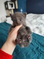https://www.waibe.fr/sites/delphine59h/medias/images/__HIDDEN__galerie_7/IMG_20250423_145903.jpg