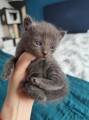 https://www.waibe.fr/sites/delphine59h/medias/images/__HIDDEN__galerie_7/IMG_20250423_145926.jpg