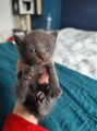 https://www.waibe.fr/sites/delphine59h/medias/images/__HIDDEN__galerie_7/IMG_20250423_145933.jpg
