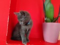 https://www.waibe.fr/sites/delphine59h/medias/images/__HIDDEN__galerie_7/IMG_20250609_164402.jpg
