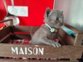 https://www.waibe.fr/sites/delphine59h/medias/images/__HIDDEN__galerie_7/IMG_20251002_172409.jpg