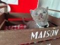 https://www.waibe.fr/sites/delphine59h/medias/images/__HIDDEN__galerie_7/IMG_20251002_172419.jpg