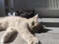 https://www.waibe.fr/sites/delphine59h/medias/images/__HIDDEN__galerie_7/IMG_20260424_160141.jpg