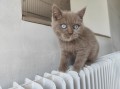 https://www.waibe.fr/sites/delphine59h/medias/images/__HIDDEN__galerie_7/IMG_20260424_160321.jpg