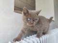 https://www.waibe.fr/sites/delphine59h/medias/images/__HIDDEN__galerie_7/IMG_20260424_160324.jpg