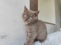 https://www.waibe.fr/sites/delphine59h/medias/images/__HIDDEN__galerie_7/IMG_20260424_160339.jpg