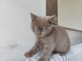 https://www.waibe.fr/sites/delphine59h/medias/images/__HIDDEN__galerie_7/IMG_20260424_160340.jpg