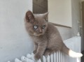 https://www.waibe.fr/sites/delphine59h/medias/images/__HIDDEN__galerie_7/IMG_20260424_160409.jpg
