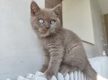 https://www.waibe.fr/sites/delphine59h/medias/images/__HIDDEN__galerie_7/IMG_20260424_160414.jpg