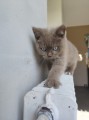 https://www.waibe.fr/sites/delphine59h/medias/images/__HIDDEN__galerie_7/IMG_20260424_160425.jpg