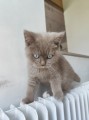 https://www.waibe.fr/sites/delphine59h/medias/images/__HIDDEN__galerie_7/IMG_20260424_160441.jpg