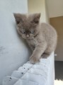 https://www.waibe.fr/sites/delphine59h/medias/images/__HIDDEN__galerie_7/IMG_20260424_160451.jpg
