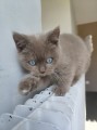 https://www.waibe.fr/sites/delphine59h/medias/images/__HIDDEN__galerie_7/IMG_20260424_160454.jpg
