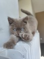 https://www.waibe.fr/sites/delphine59h/medias/images/__HIDDEN__galerie_7/IMG_20260424_160454_1.jpg