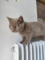 https://www.waibe.fr/sites/delphine59h/medias/images/__HIDDEN__galerie_7/IMG_20260424_160458.jpg