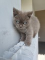 https://www.waibe.fr/sites/delphine59h/medias/images/__HIDDEN__galerie_7/IMG_20260424_160502.jpg
