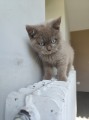 https://www.waibe.fr/sites/delphine59h/medias/images/__HIDDEN__galerie_7/IMG_20260424_160507.jpg