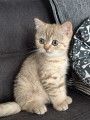 https://www.waibe.fr/sites/delphine59h/medias/images/__HIDDEN__galerie_7/IMG_20260908_144139.jpg