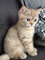 https://www.waibe.fr/sites/delphine59h/medias/images/__HIDDEN__galerie_7/IMG_20260908_144152.jpg