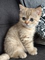 https://www.waibe.fr/sites/delphine59h/medias/images/__HIDDEN__galerie_7/IMG_20260908_144159.jpg