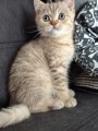 https://www.waibe.fr/sites/delphine59h/medias/images/__HIDDEN__galerie_7/IMG_20260908_144207.jpg