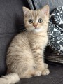 https://www.waibe.fr/sites/delphine59h/medias/images/__HIDDEN__galerie_7/IMG_20260908_144208.jpg