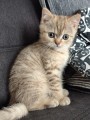 https://www.waibe.fr/sites/delphine59h/medias/images/__HIDDEN__galerie_7/IMG_20260908_144209.jpg