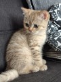 https://www.waibe.fr/sites/delphine59h/medias/images/__HIDDEN__galerie_7/IMG_20260908_144211.jpg