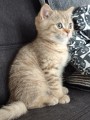 https://www.waibe.fr/sites/delphine59h/medias/images/__HIDDEN__galerie_7/IMG_20260908_144215.jpg