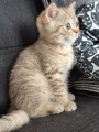 https://www.waibe.fr/sites/delphine59h/medias/images/__HIDDEN__galerie_7/IMG_20260908_144219.jpg