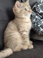https://www.waibe.fr/sites/delphine59h/medias/images/__HIDDEN__galerie_7/IMG_20260908_144220.jpg