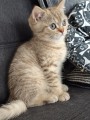 https://www.waibe.fr/sites/delphine59h/medias/images/__HIDDEN__galerie_7/IMG_20260908_144221.jpg