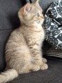 https://www.waibe.fr/sites/delphine59h/medias/images/__HIDDEN__galerie_7/IMG_20260908_144222.jpg