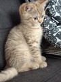 https://www.waibe.fr/sites/delphine59h/medias/images/__HIDDEN__galerie_7/IMG_20260908_144226.jpg