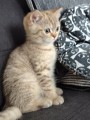 https://www.waibe.fr/sites/delphine59h/medias/images/__HIDDEN__galerie_7/IMG_20260908_144227.jpg