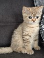 https://www.waibe.fr/sites/delphine59h/medias/images/__HIDDEN__galerie_7/IMG_20260908_144231.jpg