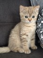 https://www.waibe.fr/sites/delphine59h/medias/images/__HIDDEN__galerie_7/IMG_20260908_144232.jpg