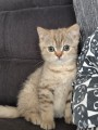 https://www.waibe.fr/sites/delphine59h/medias/images/__HIDDEN__galerie_7/IMG_20260908_144237.jpg