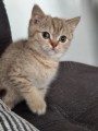 https://www.waibe.fr/sites/delphine59h/medias/images/__HIDDEN__galerie_7/IMG_20260908_144256.jpg
