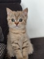 https://www.waibe.fr/sites/delphine59h/medias/images/__HIDDEN__galerie_7/IMG_20260908_144309.jpg