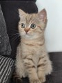 https://www.waibe.fr/sites/delphine59h/medias/images/__HIDDEN__galerie_7/IMG_20260908_144311.jpg
