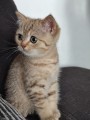 https://www.waibe.fr/sites/delphine59h/medias/images/__HIDDEN__galerie_7/IMG_20260908_144319.jpg