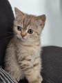 https://www.waibe.fr/sites/delphine59h/medias/images/__HIDDEN__galerie_7/IMG_20260908_144322.jpg