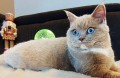 https://www.waibe.fr/sites/delphine59h/medias/images/__HIDDEN__galerie_8/462565985_486959863841421_2342869865592087497_n.jpg