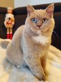https://www.waibe.fr/sites/delphine59h/medias/images/__HIDDEN__galerie_8/462575769_2013852139027104_4628122550747954613_n.jpg