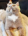 https://www.waibe.fr/sites/delphine59h/medias/images/__HIDDEN__galerie_8/462639093_1627379698136731_4379075108410159780_n.jpg
