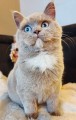 https://www.waibe.fr/sites/delphine59h/medias/images/__HIDDEN__galerie_8/462643687_8182617081840095_313940527624270933_n.jpg