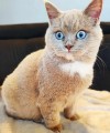 https://www.waibe.fr/sites/delphine59h/medias/images/__HIDDEN__galerie_8/462648714_1925361321279622_7896168059938418159_n.jpg