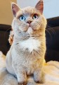 https://www.waibe.fr/sites/delphine59h/medias/images/__HIDDEN__galerie_8/462648933_902196695225468_6635005292867377575_n.jpg